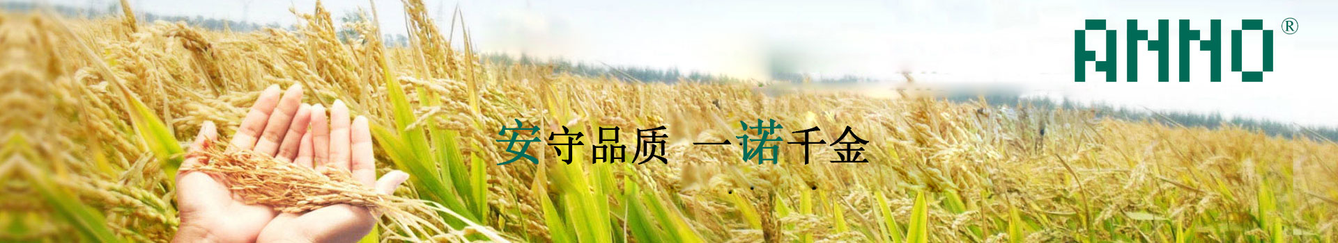 新聞中心